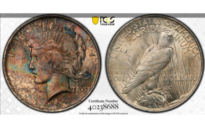 1922 Peace Dollar with Crazy Toning